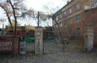 Основные этапы развития